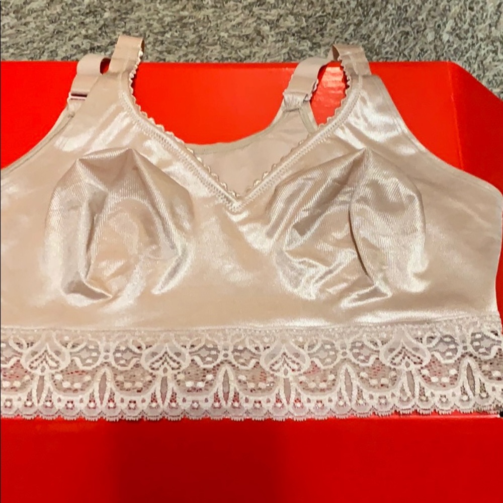 Ruby Ribbon Lace Demi